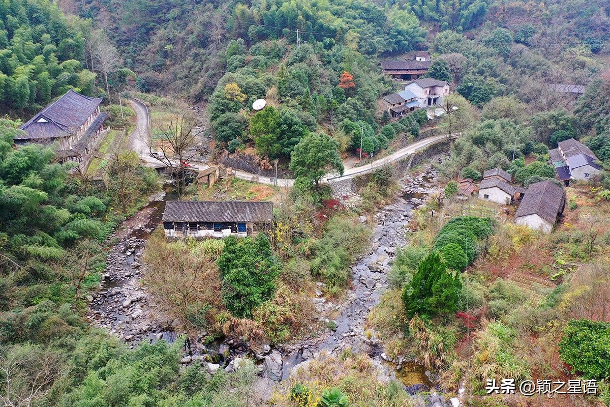 王师傅|隐居深山的神仙生活，每年自酿三季野果酒，秋天采摘野生猕猴桃