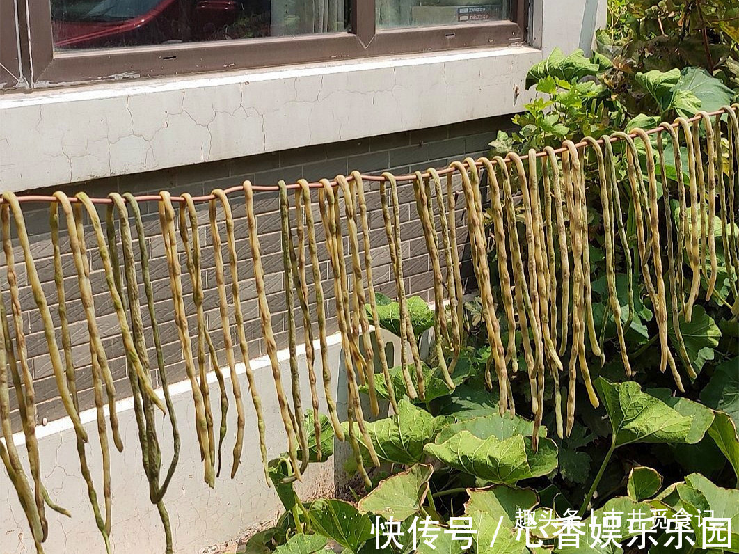 炖肉|5种晒干更香的蔬菜,留着冬天炖肉吃,做法简单,比新鲜的还好吃