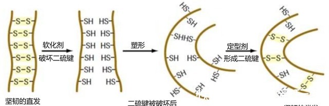 卷发筒 别人烫发是女神，我烫完是步惊云，烫发是如何改变头发形状的！