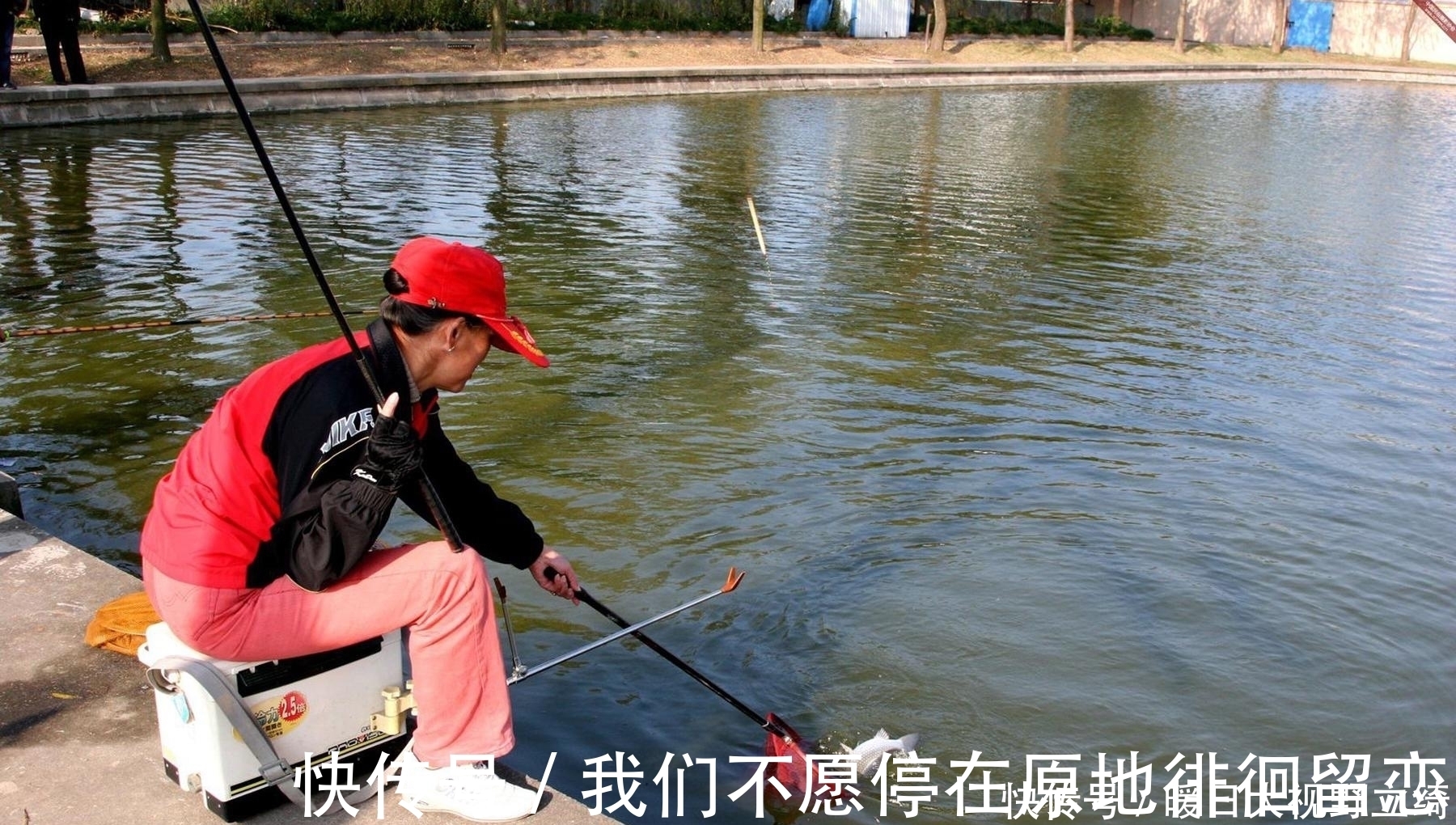 传播剂|什么物质对鲫鱼的诱鱼效果非常好？钓鲫鱼轻松爆护的四种物质