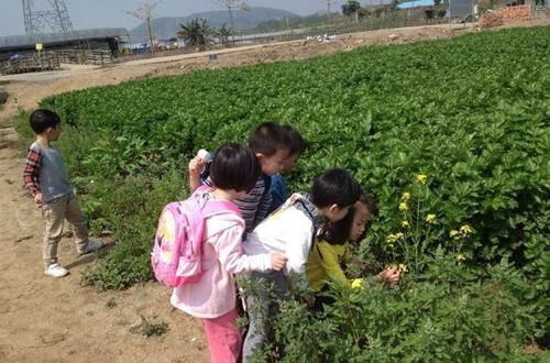 大自然|孩子10岁前,有远见的父母会教他们这三件大事,对一生影响深远!