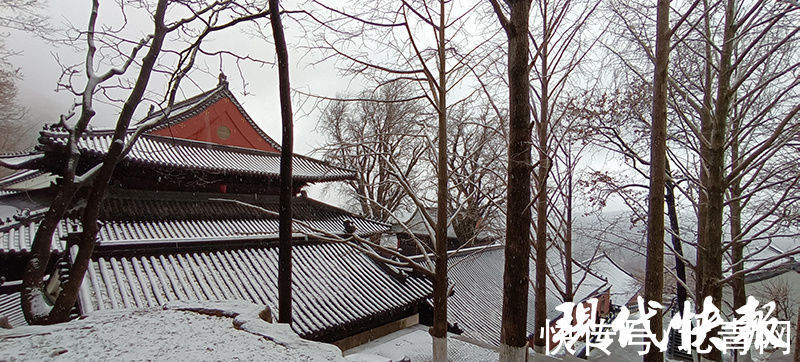 降雪|太美了，花果山下雪啦