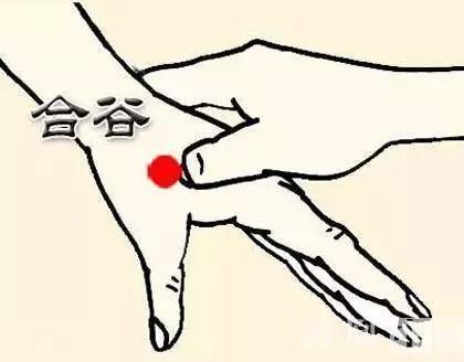 疾病|身体365个穴位,无非这8穴,此8穴治疗身体一切疾病,收了吧!