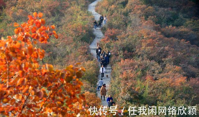 太行八英广场|乡村振兴看中站赵庄又到满山红叶时