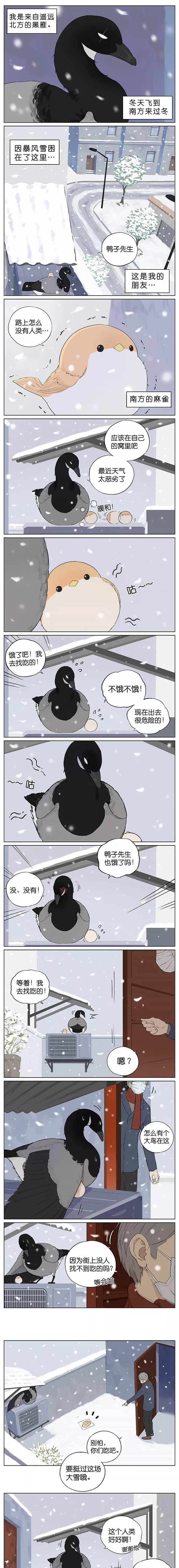 a8703|暖心漫画：小麻雀：路上怎么没有人了？