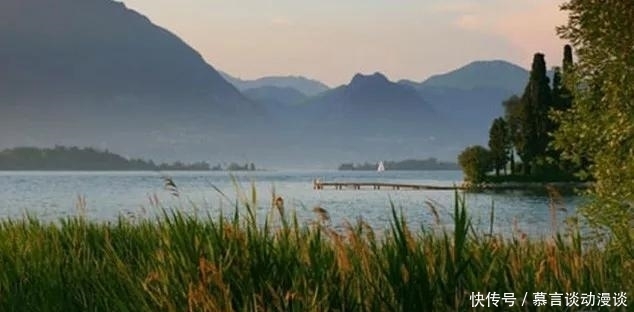 做人的最高境界:装傻