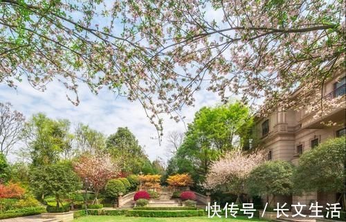 独栋别墅|有钱人也不愿意买别墅,不是因为没钱买不起,主要是4大缺点劝退