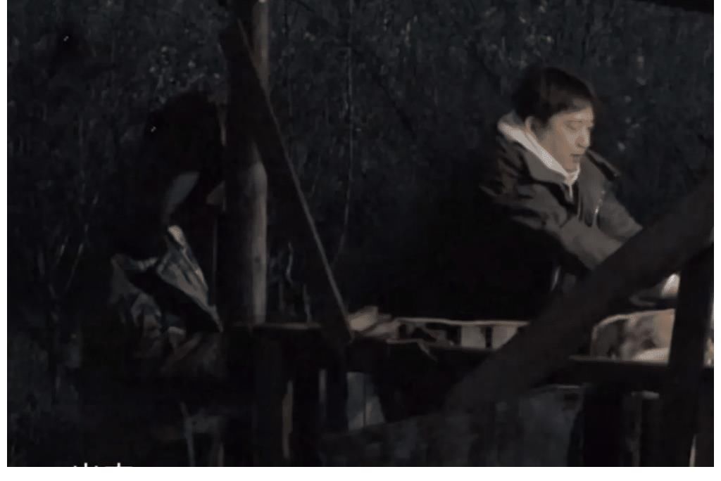 何炅|黄磊，何炅，张艺兴一行人不睡觉，集体素颜爬起来冒着雨抢购