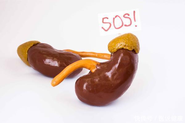 医生|肾是“拖垮”的?医生告诫:身体出现5种异样,越早就医越好!