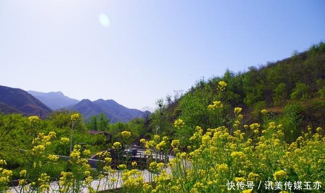 自驾游常馨谷：追寻春天最后一抹油菜花