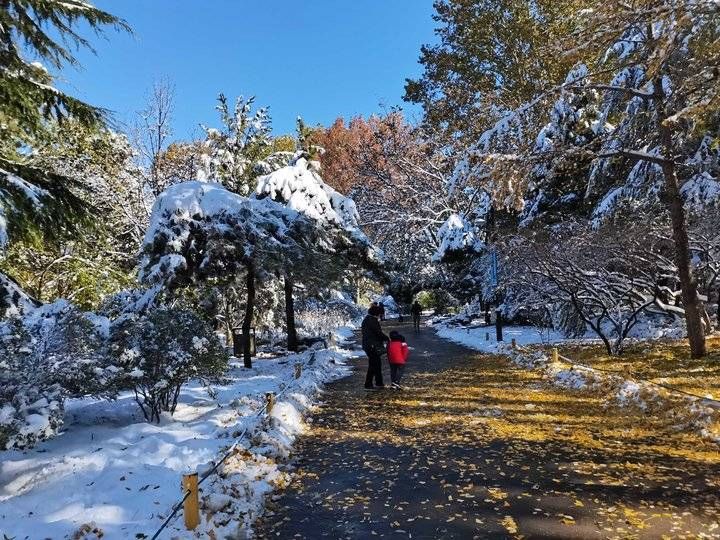 情报站|一剪梅?雪情