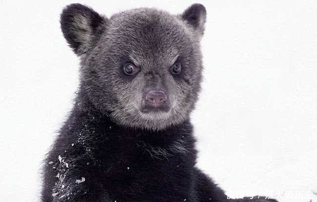 娇惯坏|女子的品德关乎“家”的命运