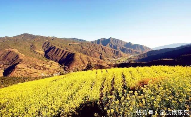 人间|油菜花漫舞在云南大姚紫丘山麻街村的山岗