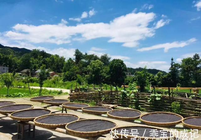 山药|入秋以后,吃这些食物,补一补被夏天掏空的身体!