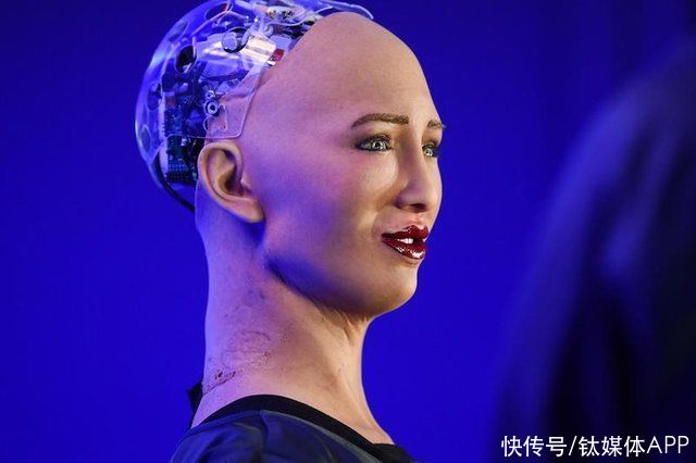 想象力|「人形机器人」赛博梦碎,资本不为想象力买单