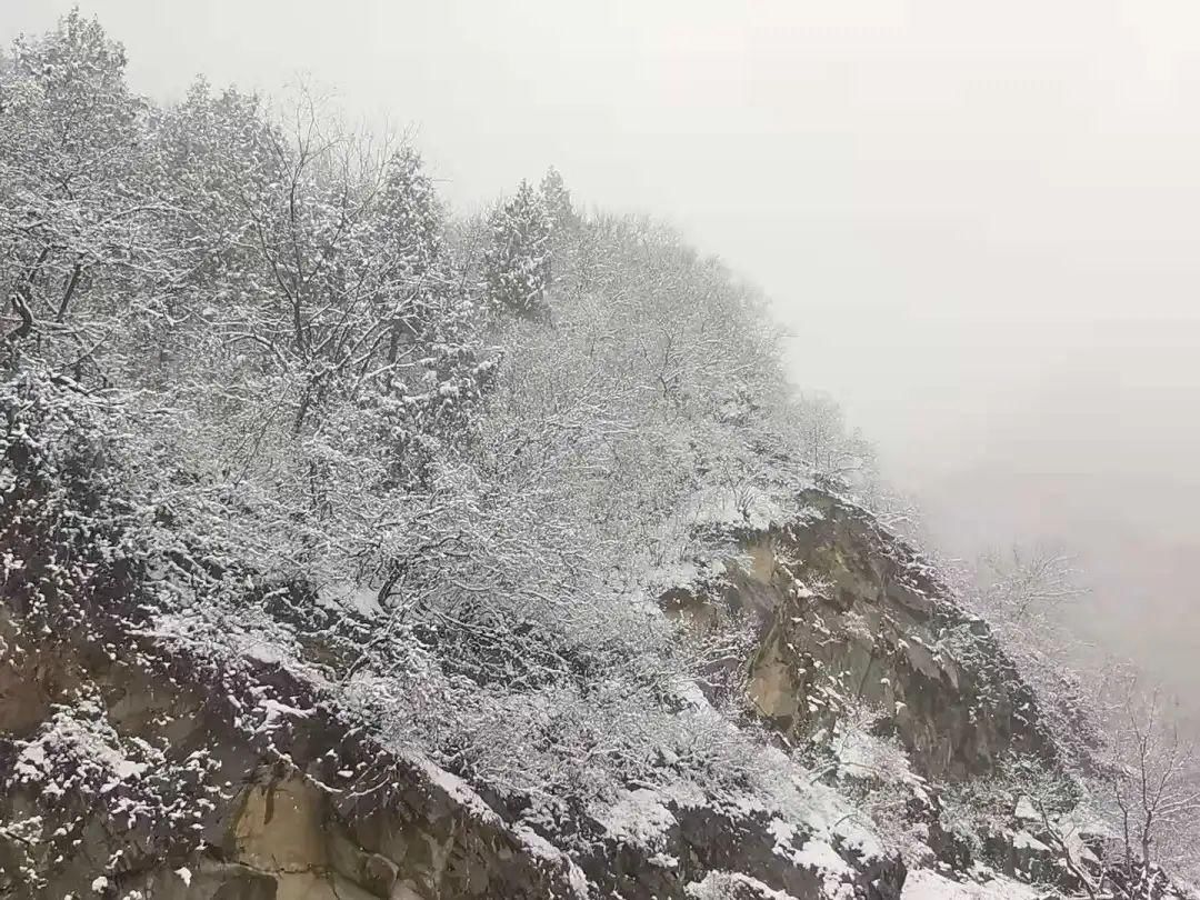 梦想|雪后的朗诗乡居丨藏着你的冬日梦想！