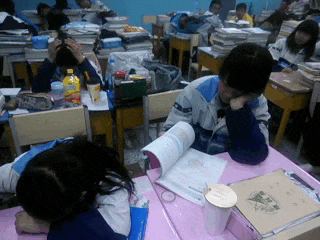 |搞笑GIF趣图:铲屎的，整天就知道玩手机，你是不是不爱我了？