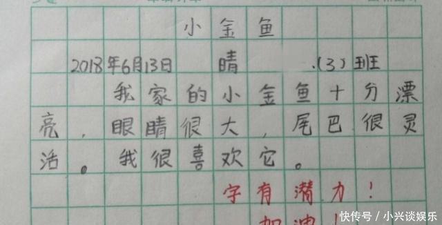 享受|小学生的优秀作业“火了”，字体标准近似印刷体，老师美的享受