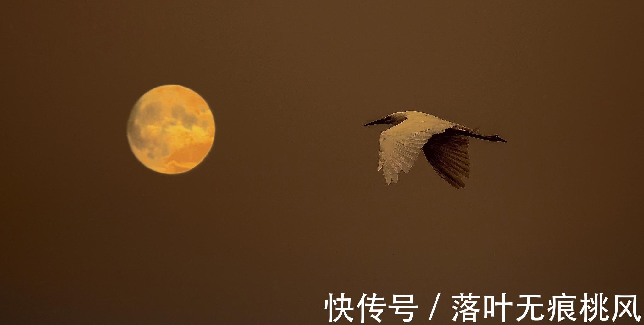 故乡|故乡是每位游子心中柔软的存在，三首思乡绝句，哪一个最能戳中你