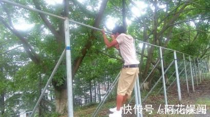 肌肉|每天拉引体向上，10个一组，一共30组，这样能增加力量和肌肉吗