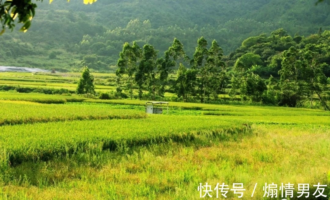 石狗@到南安!到九溪!到那“石狗蛋”的山中世界!