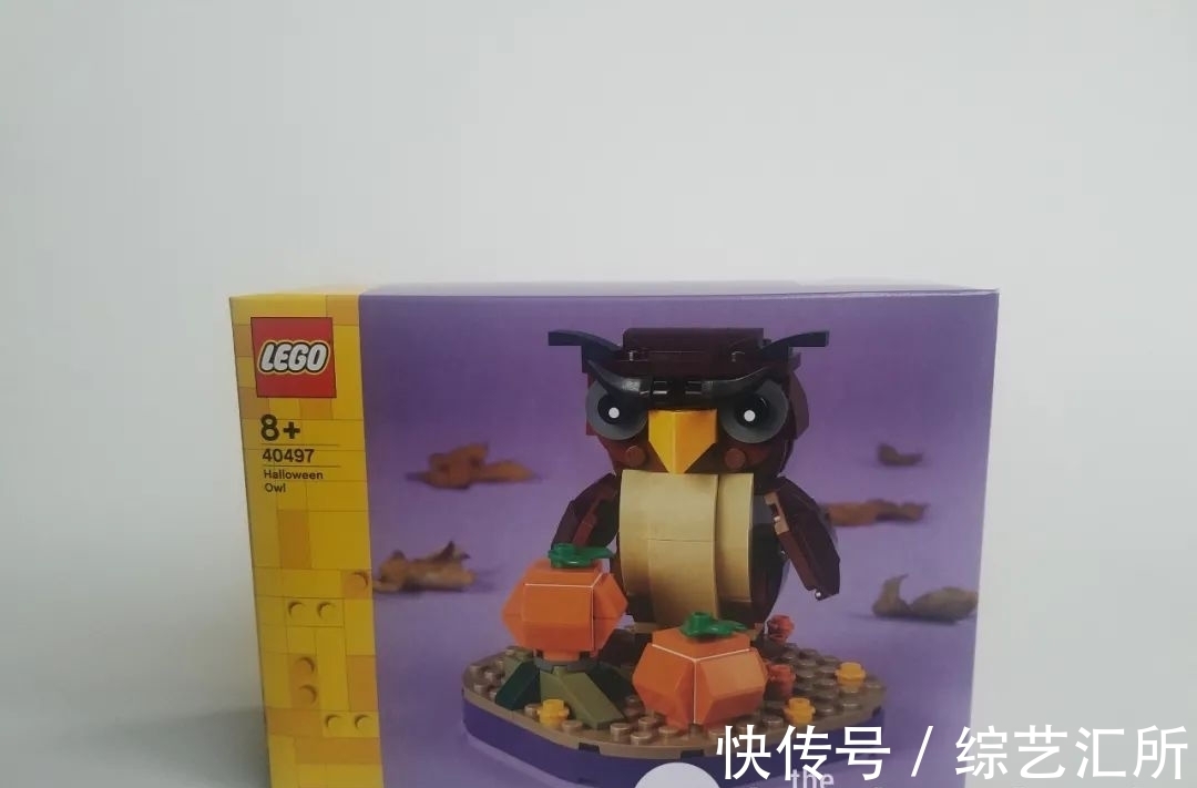 评测|乐高季节套装40493万圣节猫头鹰和40497蜘蛛与鬼屋评测