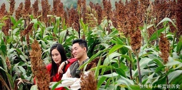 白忙|俗语:“人贪四样,一生白忙”,哪四样?早知道少吃亏!