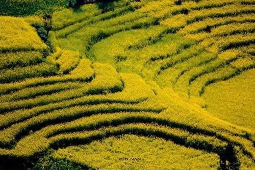 自驾游|春节云南自驾游最佳路线，云南4条自驾游经典路线推荐