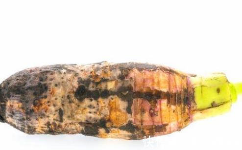 好处|食用芋头根到底有什么好处吗你真的知道吗今天来告诉各位答案