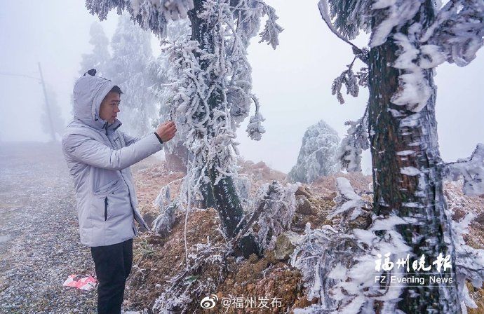 宛若|宛若冰雪仙境！闽侯大湖雪峰村现雨凇景观