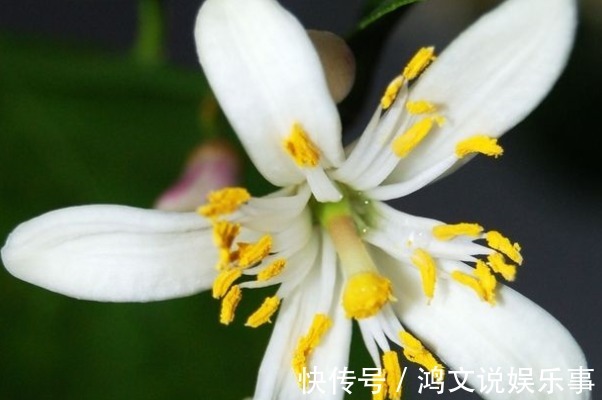 礼貌|人最大的教养,不是表面上的礼貌,而是4个“仁者无敌”的方式