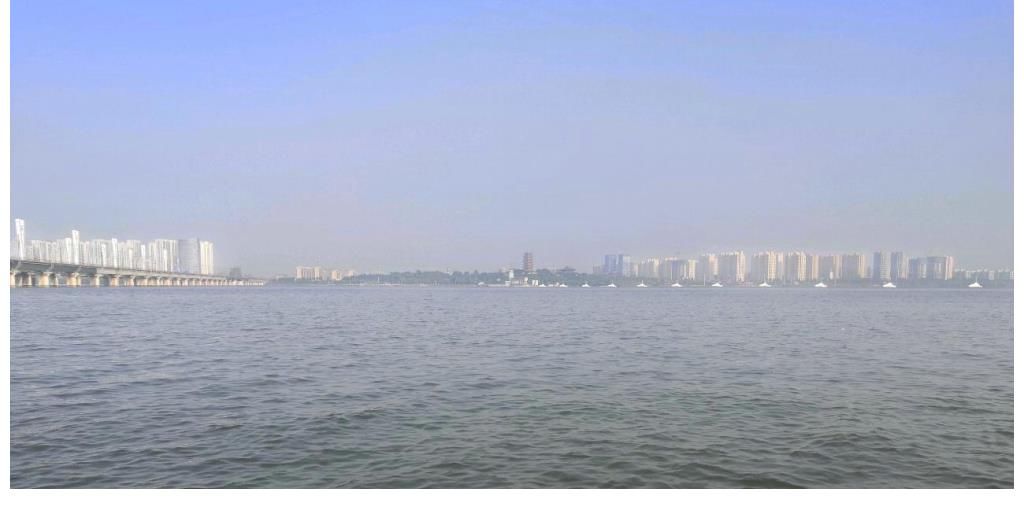 30斤!钱塘江“鲈鱼王”被人钓起,卖出2000元,网友:渡了多少劫