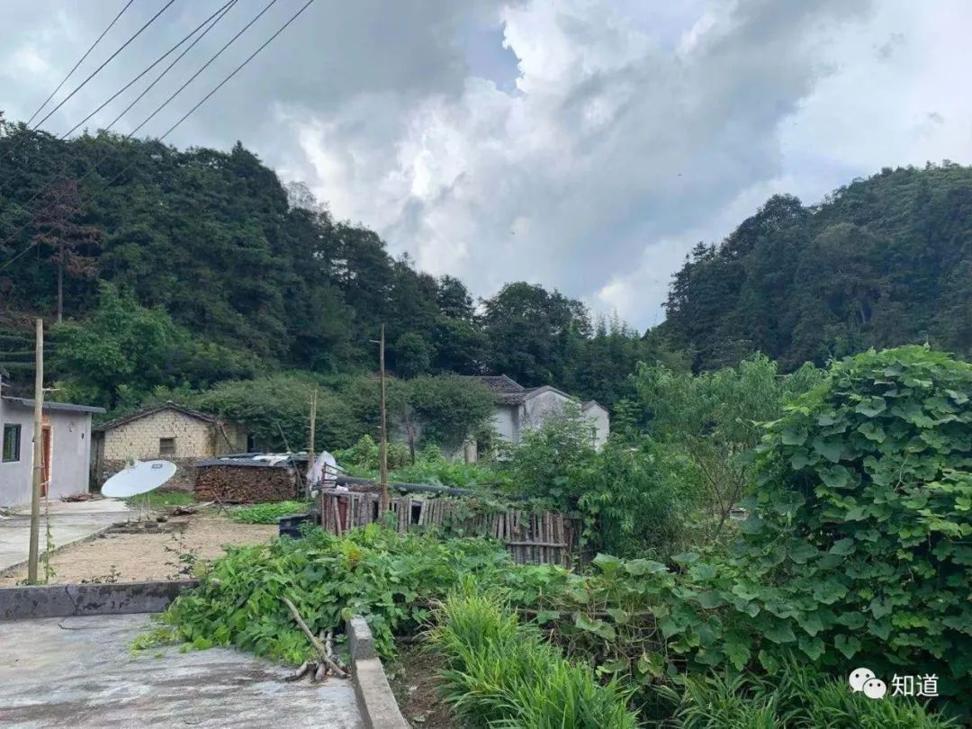 山水画&中学为体、西学为用,那么山水画中的“体”、“用”分别指什么?