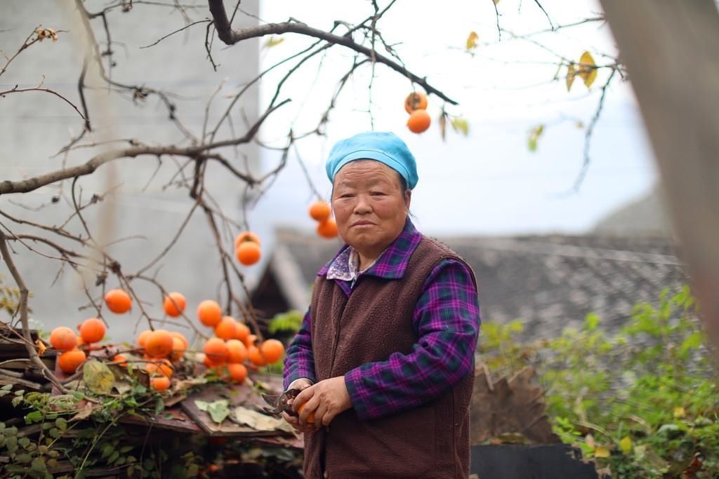 探访：九寨沟旅游复苏，村民满怀信心摆摊卖柿子|走进美丽新九寨 | 满怀信心