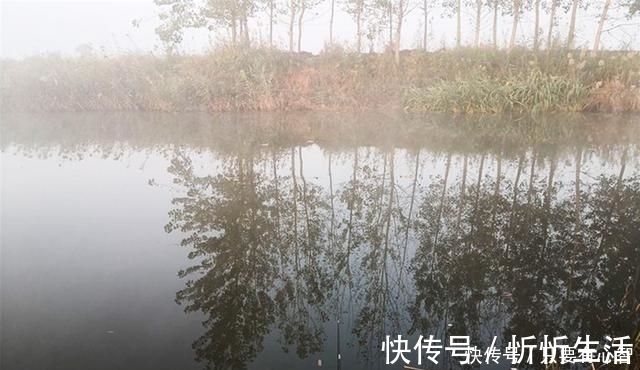诱因|鱼星四起,鱼却不咬钩,着急解决不了问题,搞懂诱因方能化解