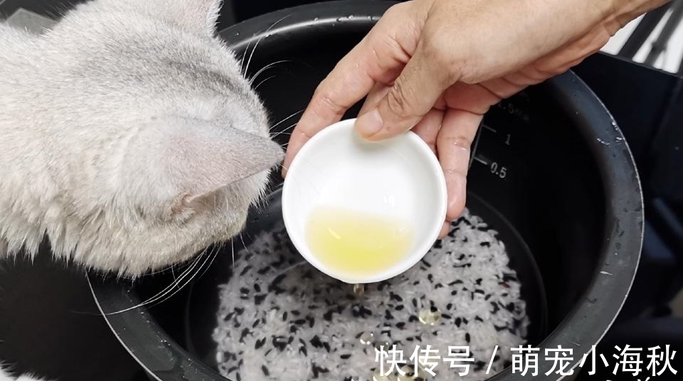 口感|煮米饭时，多加这1样，营养足、口感好，好吃还养人，老少皆宜