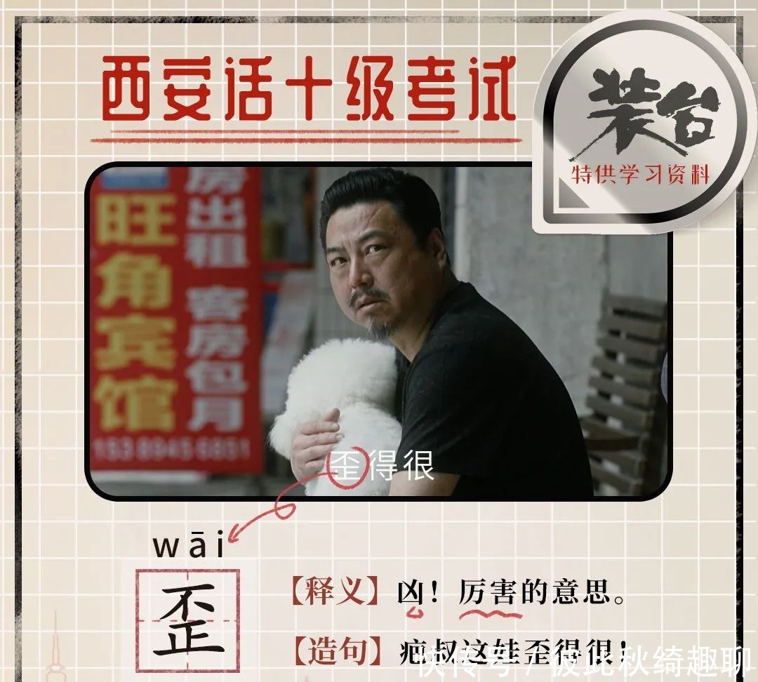 想要|满是陕味的《装台》,是你想要的人间烟火气吗?