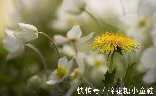 虎年|2022年虎年，好运袭来，求职顺，生意火，横财大爆发，必大富大贵