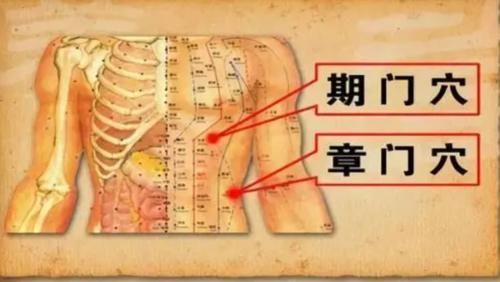 赵大哥|大哥喝酒26年,肝脏却依然健康红润,医生:他的生活习惯值得学习