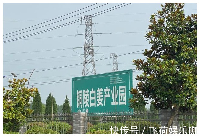 朱南孙|99岁国医透露:这2种食物我从不吃!值得记住的私家调理方!