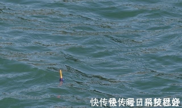 伊势尼|钓鲢鳙线组的搭配怎么才合理?看完你就懂了