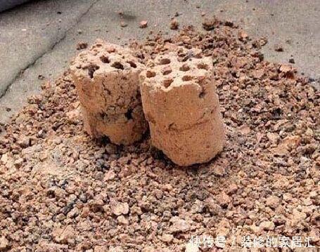 配土|养花不知道怎么配土?用这五种废料就够了
