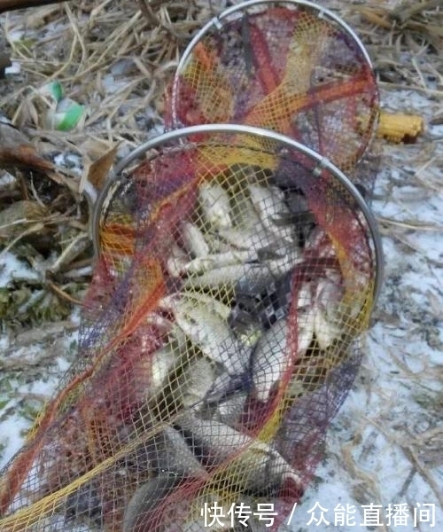 选择|雪天深水钓鲫鱼,到底多深才合适?雪天没钓到鱼的来围观下