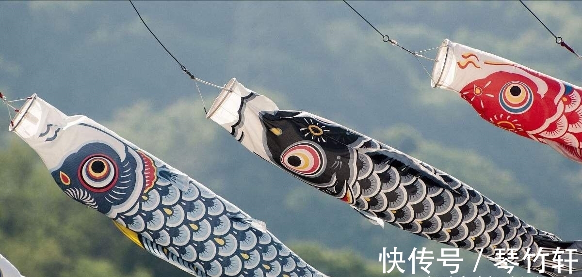 科普|每日科普:趣味冷知识分享(十二)奇怪的知识又增加啦!