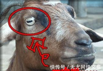 冷知识|这些冷知识看完后姿势长了一大截！
