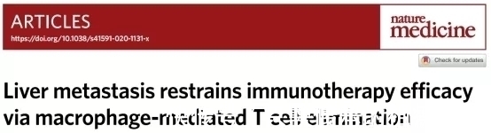 肝转移|让肺癌治疗失效的元凶竟然是它!逆转方法如此简单—抗癌管家