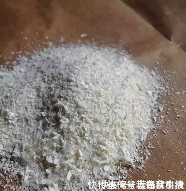 肥料|鸡蛋壳你不要都给我,鸡蛋壳的8种养花秘诀!