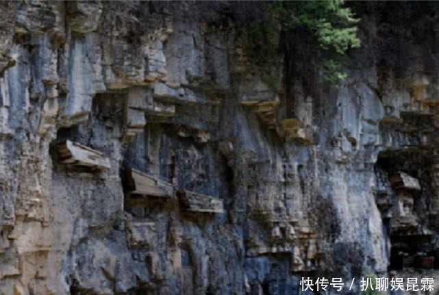 岷江|岷江有一山洞, 专家在里面挖出“摇钱树”, 被评为特级国宝