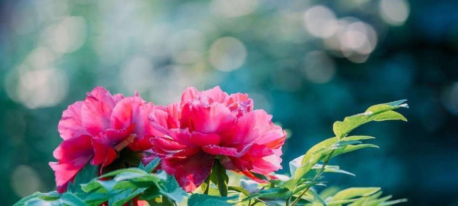 时时|平安是福,时时平凡心,人生好无限!