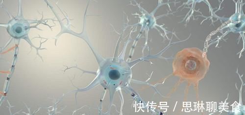 痴呆|权威痴呆测试80分以上的人大脑还很健康，不用担心